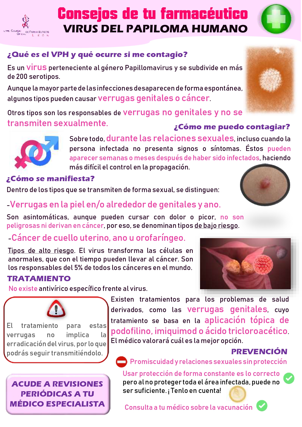 Virus del Papiloma Humano COF León