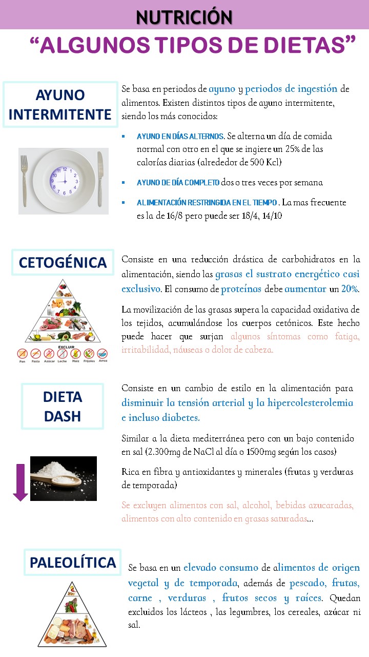 Tipos De Dieta | COF León